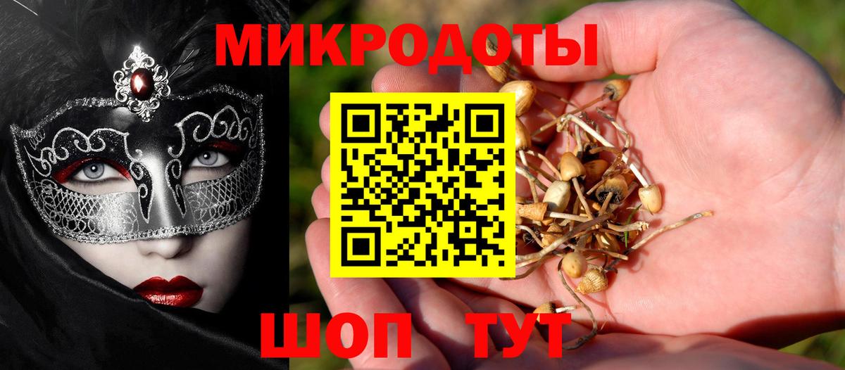 Губаха  Галлюциногенные грибы Magic Shrooms  Вход с VPN  Галлюциногенные грибы Psilocybe 